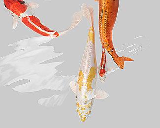 《尼尔：机械纪元》5周年直播2月23日举行